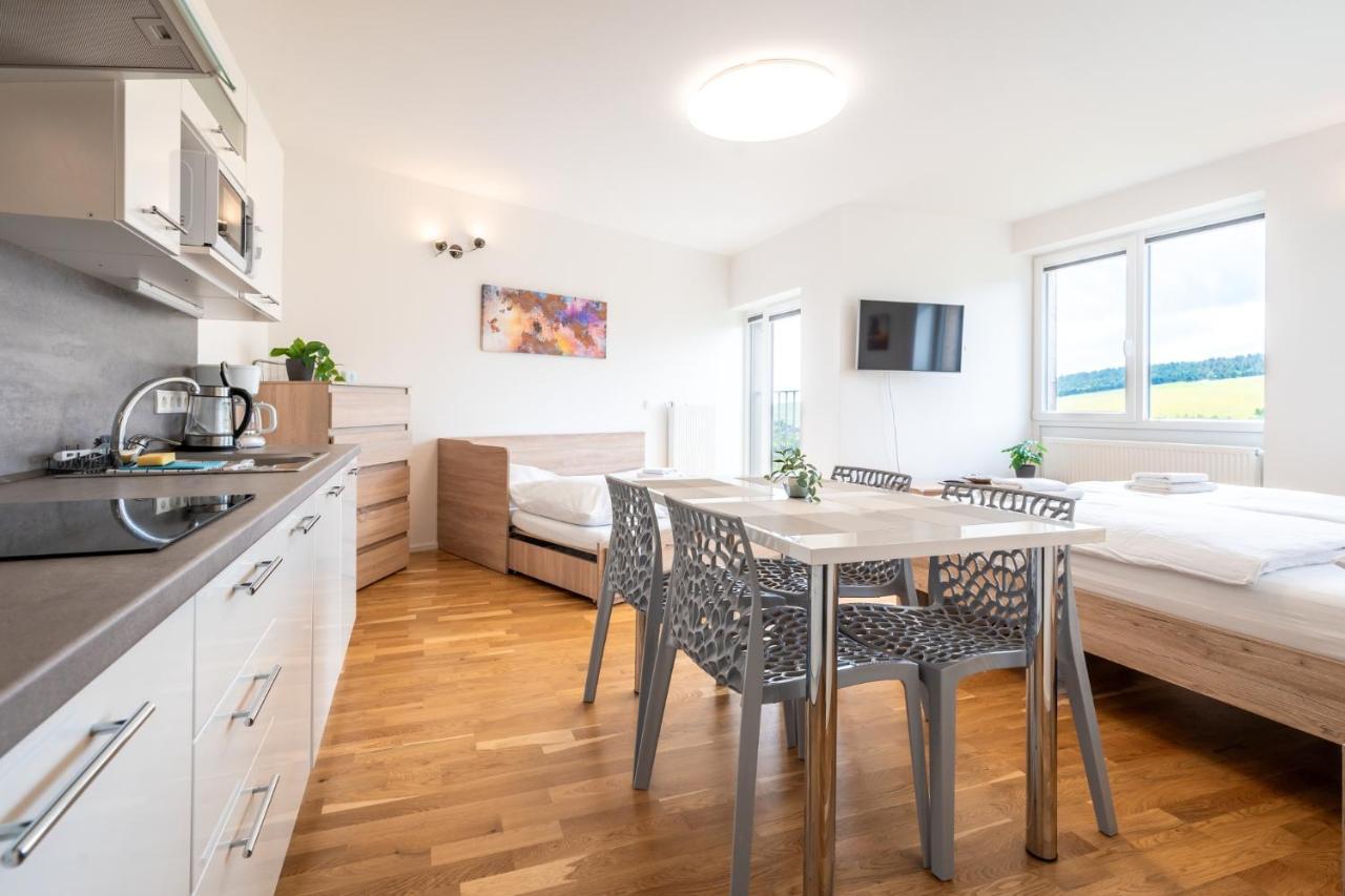 Horsky Apartman Temari 12 Klinovec Loučná pod Klínovcem エクステリア 写真